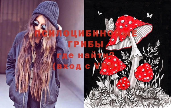 дурь Архангельск