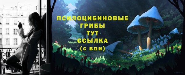 дурь Архангельск