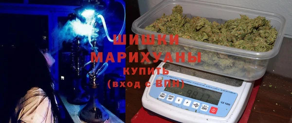 ГАЛЛЮЦИНОГЕННЫЕ ГРИБЫ Иннополис