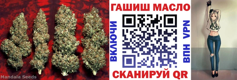 наркота  Кедровый  ТГК жижа 