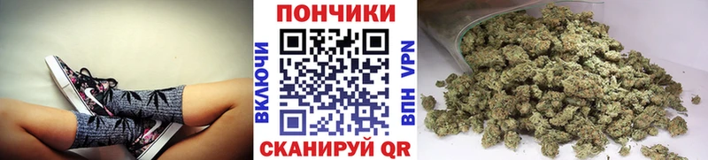 Каннабис конопля  Кедровый 